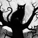 avatar ⏾𝔇𝔞𝔫𝔞݁ᛪ༙