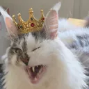 lucipurr.eth