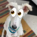 llammert