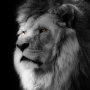 avatar Sǝɹqɐuosʞᴉ