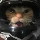nightskyyt