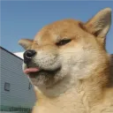 snipoysan