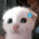 shesabonbon