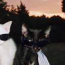 avatar 𝖑𝖊𝖎𝖋 𒉭