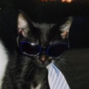 avatar 𝖑𝖊𝖎𝖋 𒉭