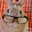 itsjellydessert