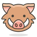 cryptoboar