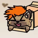 shupidd