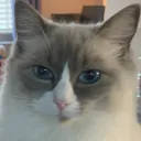 mrrphyy