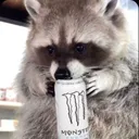 toxicsnake_