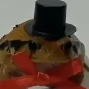 sapitofino. avatar