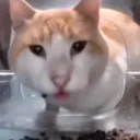 thayegraal