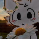 avatar stupididiotJOLLYuser