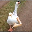 qsmkilljoy