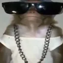 velluto.