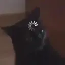 v_bob1