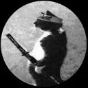 payk9091 avatar