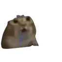 kaisestw