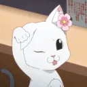 miaudia