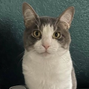 avatar 𝔄𝔪𝔫𝔬𝔫