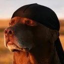 banishedson