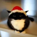 christmasbigboobs