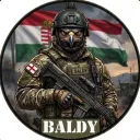 baldy9529
