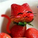 cuteplummy