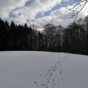 tibetisch