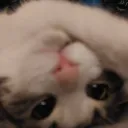 zaezae124