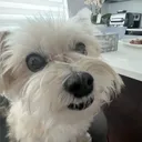 nathandevstuffs