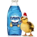 dawn5953