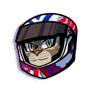 bobcatracer
