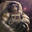 spacechimp3754