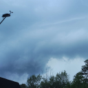 avatar Fa☈aday1056