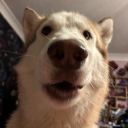 avatar Butter_Man5625