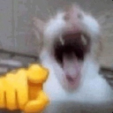 avatar 𝑱𝒐𝒏𝒂