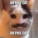 drphilcat3946