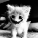 avatar 𝘏𝘢𝘬𝘶