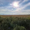 Аватар mr_bled