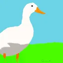 quacks_duck