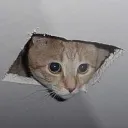 urkkizzz