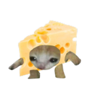 avatar cheese slut