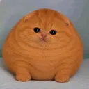 ubacio