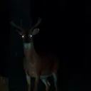 vexednotperplexed