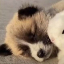 avatar maocabre! 🫀