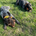 avatar PhoenixOfLight