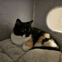 avatar I AngelDust I