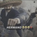 avatar Gerberbabyofficial