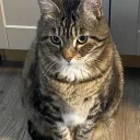 txrtlez
